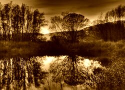 Sepia