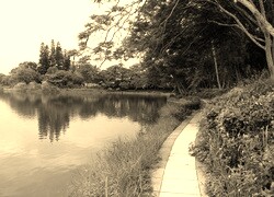 Sepia
