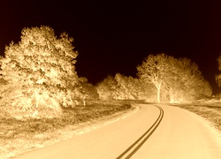 Sepia + Negatyw