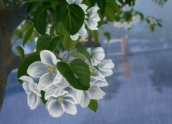Oryginalny obrazek