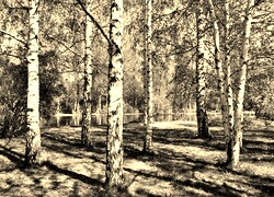 Szary + Sepia