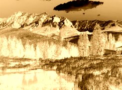Sepia + Negatyw