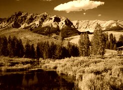 Sepia
