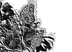 Skamielina
