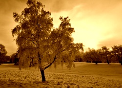 Sepia