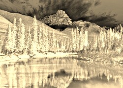 Sepia + Negatyw
