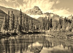 Sepia