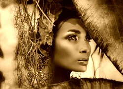 Sepia