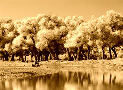 Sepia