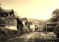 Szary + Sepia