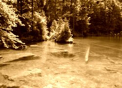 Sepia