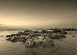 Szary + Sepia