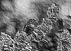 Skamielina