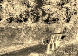 Sepia + Negatyw
