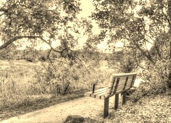 Szary + Sepia