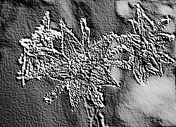 Skamielina