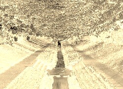 Sepia + Negatyw