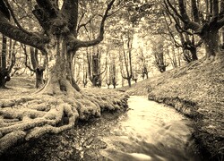 Sepia