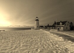 Szary + Sepia