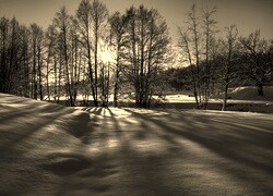 Szary + Sepia