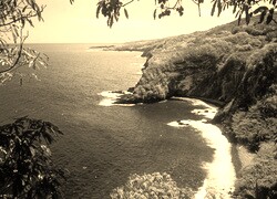 Szary + Sepia