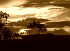 Sepia