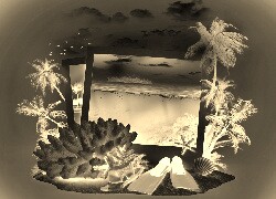 Sepia + Negatyw
