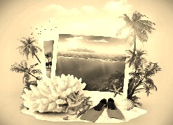 Szary + Sepia