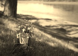 Szary + Sepia