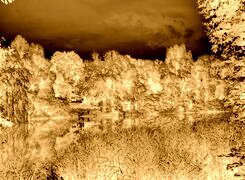 Sepia + Negatyw