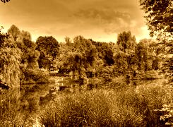 Sepia