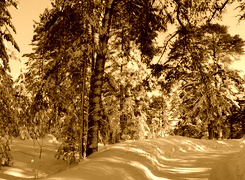 Sepia