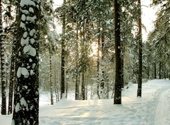 Oryginalny obrazek