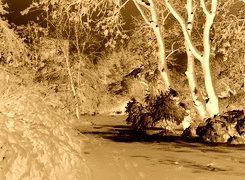 Sepia + Negatyw