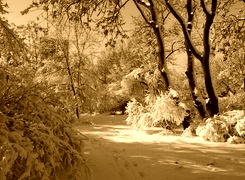 Sepia