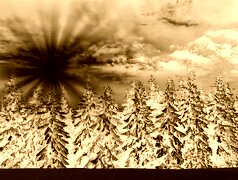Sepia + Negatyw