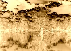Sepia + Negatyw