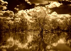 Sepia