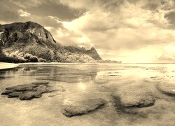 Szary + Sepia