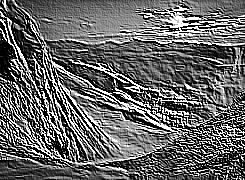 Skamielina