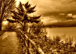 Sepia