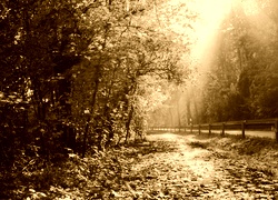 Sepia