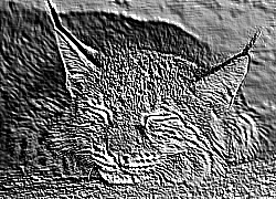 Skamielina