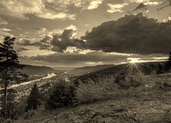 Szary + Sepia