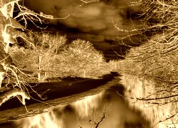 Sepia + Negatyw