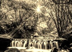 Szary + Sepia