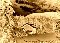 Sepia + Negatyw