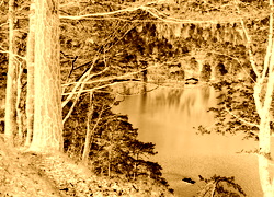 Sepia + Negatyw
