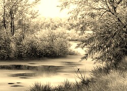 Sepia