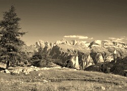 Sepia